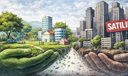 Van Gölü Havzası’nda kamu arazilerinin satışına tepki: “Kamu malı halkındır”