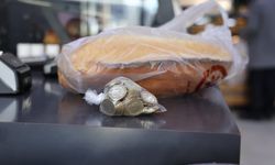 Yüz lira bozuk paraya iki ekmek hediye