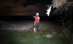 Bursa’da kayıp 80 yaşındaki Mustafa Abi’den hâlâ iz yok