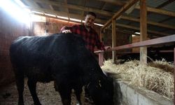 “Robot olacağıma çoban olurum” deyip memleketine döndü