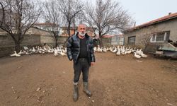 Memleketine döndü, binlerce hayvan üreterek geçimini sağlıyor