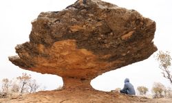 Buzul çağ kalıntısı: Tam 6 milyon yıl önceye ait