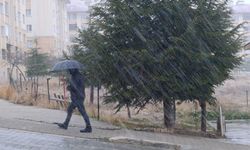 Van’da kar yağışı etkili oldu: Yağışlar devam edecek