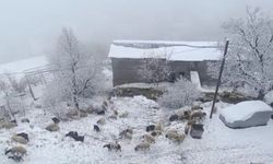 Bahçesaray’da kar yağışı hayatı olumsuz etkiledi