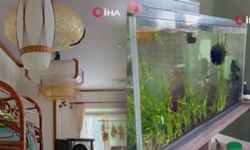 Japonya’da 6.7 Büyüklüğünde Deprem: Tsunami Uyarısı Yapıldı