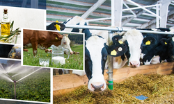 Çiftçilere 2 milyar 5 milyon liralık tarımsal destek