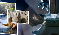 Çiftçilere 1.1 milyar liralık destekleme ödemesi