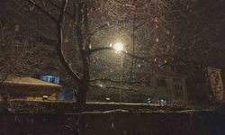 Van’ın Erciş ilçesi beyaza büründü