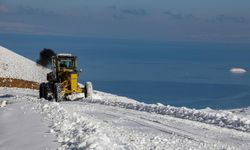 Van’da Karla Mücadele Çalışmaları Aralıksız Devam Ediyor