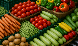 Van’da 25 Aralık Sebze Hali Fiyatları Açıklandı