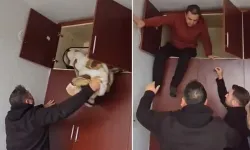 49 farklı suçtan aranan şahsın yakalandığı yer pes dedirtti