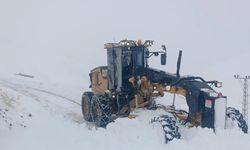 Van’da kar ve tipi: 569 yerleşim yeri yolu ulaşıma kapandı