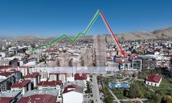 Van ekonomisi ile ilgili çarpıcı açıklama!