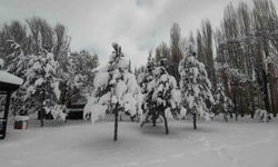 Van'dan Kartpostallık Manzaralar