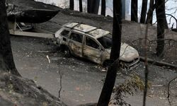 Avustralya'da orman yangınları: 16 ev küle döndü