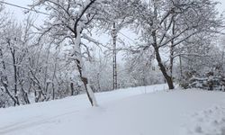 Vanlı Başkan Kalmış: Entegrasyonun Anahtarı İstihdam