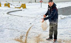 Van’da aç kalan yaban hayvanları için doğaya yem bırakıldı