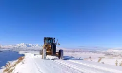 Bahçesaray–Hizan yolunda ulaşım engeli