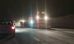 Van’da 341 yerleşim yerinin yolu kapandı