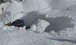 Van-Çatak karayolu trafiğe kapatıldı