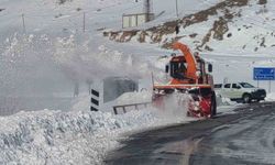 Van-Çatak yolunda geçişler sadece acil ve öncelikli araçlara açık