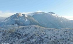 Bin 250 rakımlı Yaralıgöz Dağı beyaza büründü