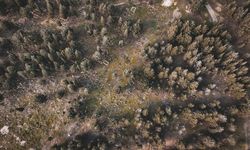 Çanakkale’de Türklerin Balkanlara geçişine ait ilk mezarlık bulundu