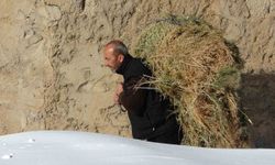 Van’da besicilerin zorlu kış mesaisi