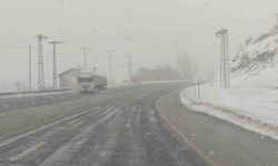 Kar yağışı Van-Bitlis yolunda etkili oluyor