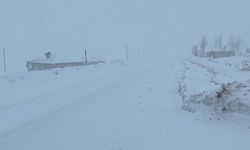 Van-Çatak kara yolu ulaşıma kapatıldı