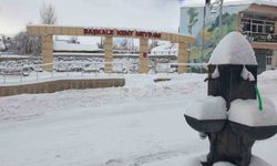 Başkale'de 88 yerleşim yerinin yolu ulaşıma kapandı