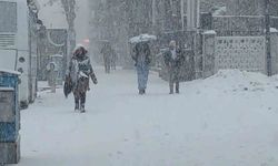 Van'da 405 yerleşim yerinin yolu ulaşıma kapandı