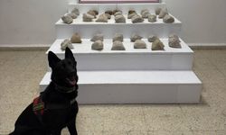 Van'da uyuşturucu operasyonu!