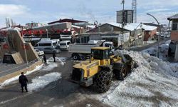 Van Başkale’de karla mücadele çalışması