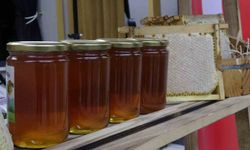 Ilgaz balı dünyanın en pahalı balı oldu