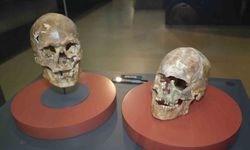 5 bin yıllık kafatası ve Amisos Hazinelerine yoğun ilgi