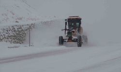 Van’da kardan kapanan 287 yolun 89’u ulaşıma açıldı