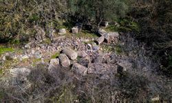 Kırsalda keşif: Apollon’a adanmış gizemli tapınak