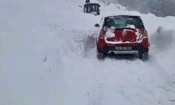 Çatak'ta çığ düştü, sürücü saniyelerle kurtuldu