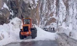 Hakkari-Yüksekova kara yoluna çığ düştü