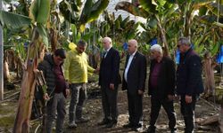 "Doğal afetler tarım sektörünü her geçen yıl daha fazla etkilemektedir"