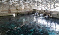 Van'ın içme suyu için kaygılandıran açıklama