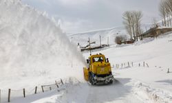 Van’da 18 yerleşim yerinin yolu kardan kapalı