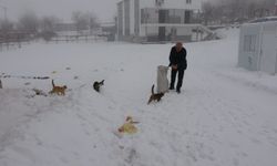 Yaklaşık 2 Bin Nüfuslu Köyde Kışın Sadece Bir Aile Kalıyor