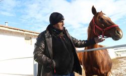 At Yetiştiricilerinin Zorlu Kış Mesaisi