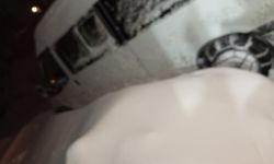 Van–Bahçesaray yolunda kar alarmı: 20 kişi mahsur kaldı