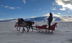Çıldır Gölü’nde atlı kızak zamanı