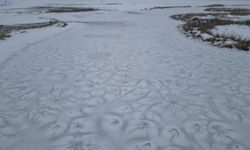 Van'ın komşu ilinde tüm göller buz tuttu