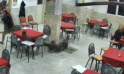 Güzel kokması için sobaya döktü ortalığı savaş alanına çevirdi