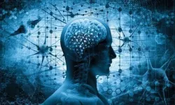 Nöroloji uzmanı uyardı: Beyin sisi hafife alınmamalı